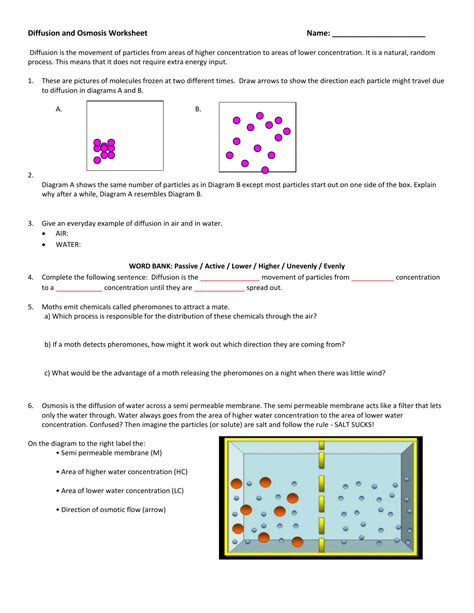 diffusion and osmosis worksheet (modified) answer key